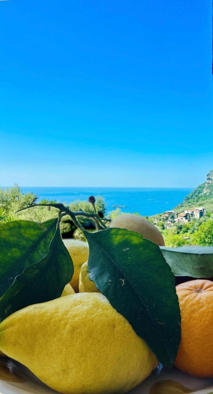Wanderlust Vila Piano di Sorrento Exterior foto
